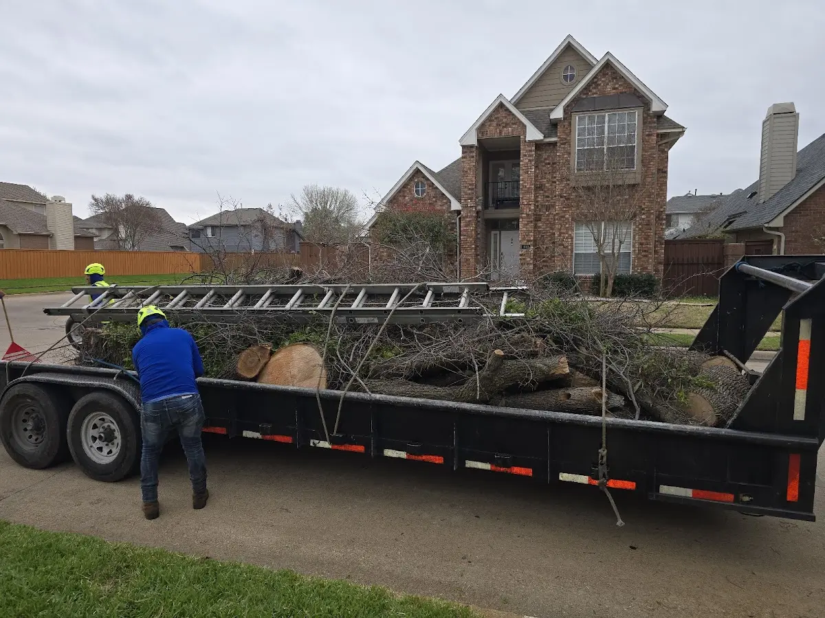 Expert Tree Fertilization with proper safety equipment in Syracuse